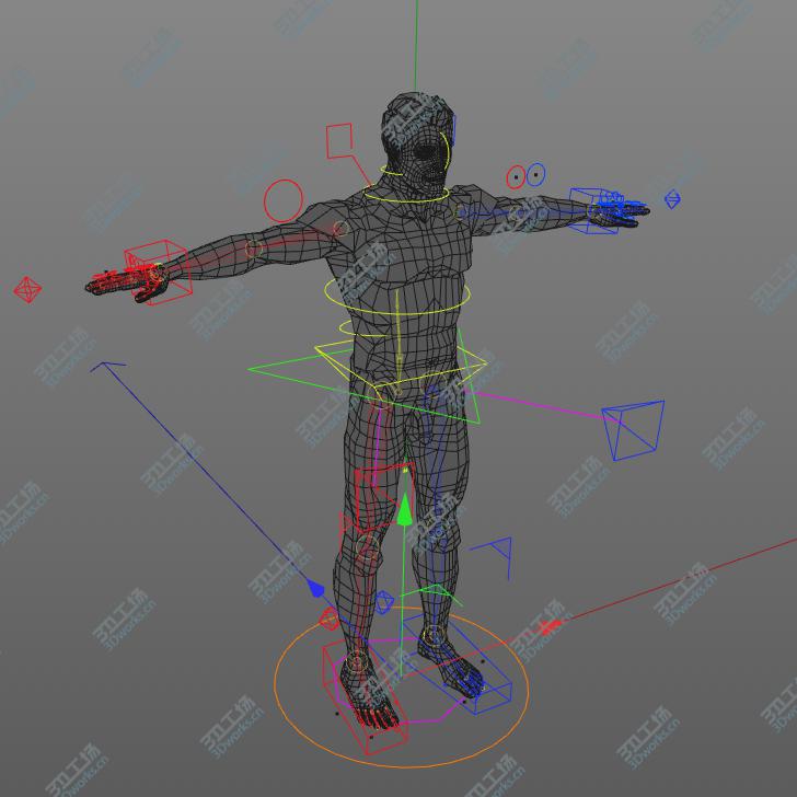 images/goods_img/20210113/C4D RIGGED Complete Male Anatomy PACK/4.jpg